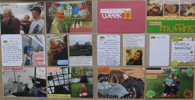 Project Life- Week 11