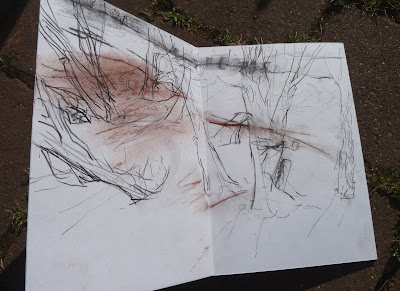 Sandy river edge and trees -  pencil, red chalk, charcoal and carbon pencil