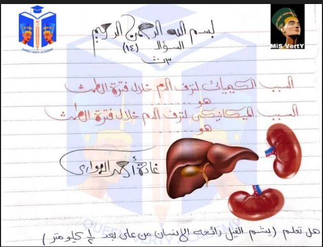 أفضل مراجعة احياء واهم الرسومات والاسئلة نظام حديث للثانوية العامة 2021