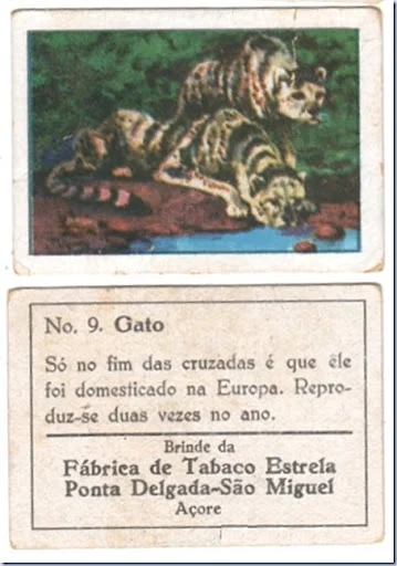 cromos cartoes tabacos estrela 03