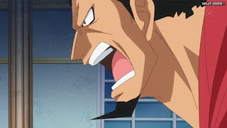 ワンピースアニメ ドレスローザ編 676話 キュロス KYROS CV.小山力也 | ONE PIECE Episode 676