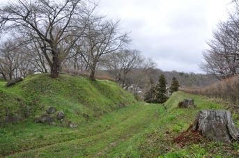 DSC 0601