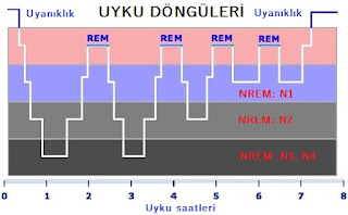 Resim