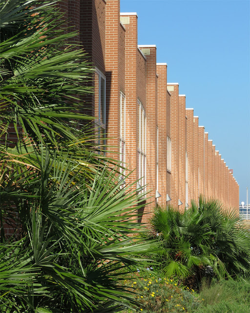 Facades, Via Edda Fagni, Livorno