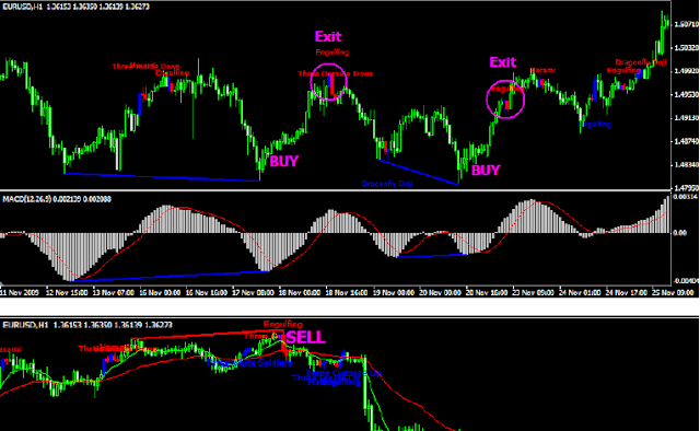 MAGIC FOREX DIVERGENCE Trading Guide by Tim Trush & Julie Lavrin