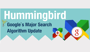 Humming Bird Update