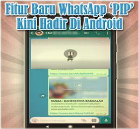 Fitur Baru WhatsApp PIP Kini Hadir Di Android