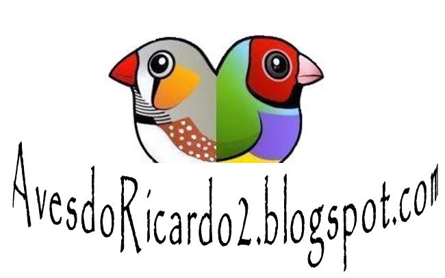 Aves do Ricardo