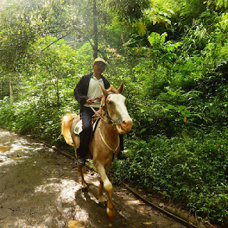  Gambar alat transportasi tradisional dan modern sengaja saya susun agar adik Kliping Gambar Alat Transportasi Tradisional dan Modern 