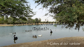 CAMPING WITH FAMILY IN UAE: A Beginner's guide @http://colorsofourrainbow.blogspot.ae/