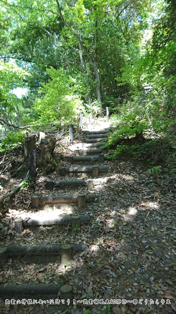 女夫岩遺跡　道④