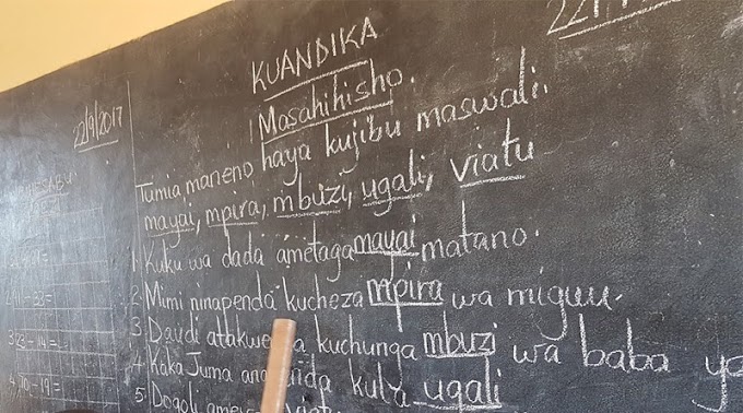 NEW: MAJINA YA WALIMU WA SHULE ZA MSINGI WA AJIRA MBADALA WALIOPANGIWA VITUO VYA KAZI