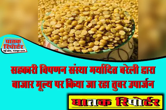 रायसेन/बरेली, सहकारी विपणन संस्था मर्यादित बरेली द्वारा बाजार मूल्य पर किया जा रहा तुवर उपार्जन