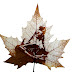 Those Crazy Leaf Carvings; What, How & Where To Buy Or Create Custom Ones.