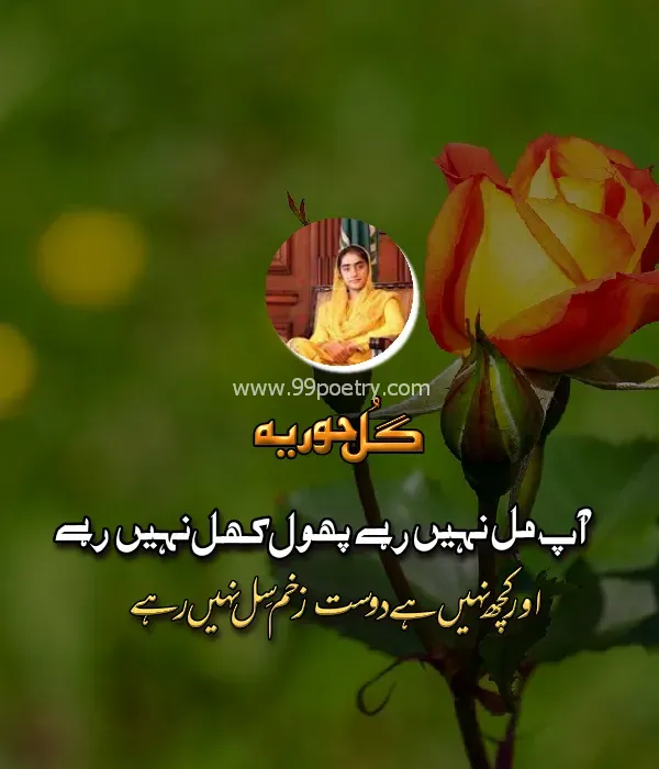 Urdu Ghazal | Aap Mil Nahin Rahe - Gul-Hooria
