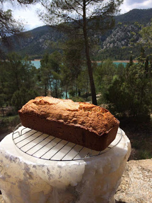 trampa, oso,Kuchen,pastel, Corinne Buchmann, pantano de pena, Beceite, Beseit, Valderrobres