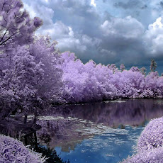 foto-foto danau