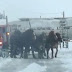 4 άλογα ξεκολλάνε φορτηγό από τον πάγο!