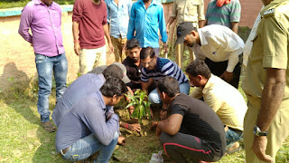 tree-planting-on-chhath