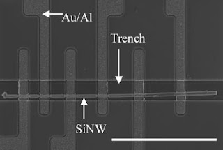 Caption: Scanning electron microscope image shows a single silicon nanowire positioned in an etched trench using NIST's nanowire manipulation technique. The trench helps keep the nanowire in position during the fabrication of the rest of the test structure, which measures metal/nanowire contact resistance. The scale bar is 20 micrometers long. Credit: NIST. Usage Restrictions: None.