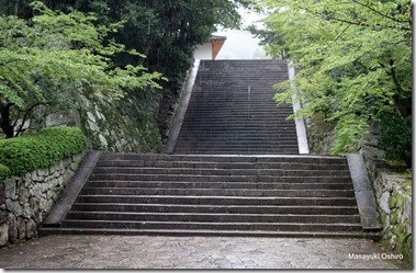 123-DSC06705