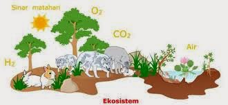 Pengertian Ekosistem Darat Dan 6 Bioma Catatanku