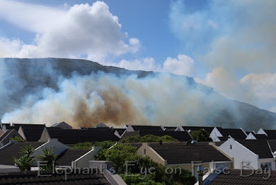 Peers Hill fire 1 April 2024