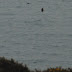Less obvious migration
