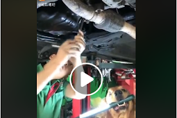 بالفيديو لن تصدق " كلب ميكانيكي " شاهد كيف يعمل مع صاحبه Mechanic Dog