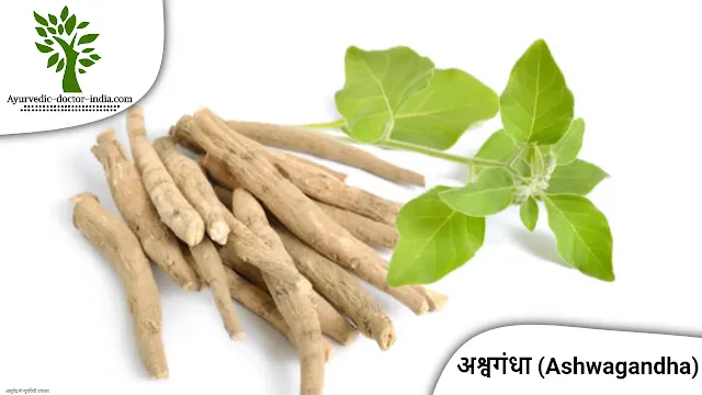 Best Ayurvedic Medicine for Bones And Joints