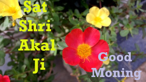 Sat Shri Akal Ji Good Morning