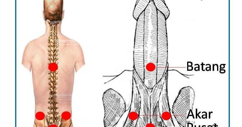 Pak Mat Urut & Terapi Servis: Mati pucuk atau erectile 