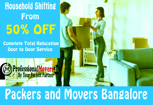 Professional Mover and Packer