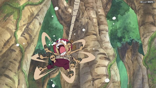 ワンピース アニメ 空島 スカイピア 167話 チョッパー Tony Tony Chopper | ONE PIECE Episode 167 Skypiea