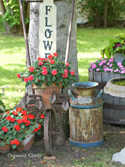 Photo of a rusty cultivator and milk can in a junk garden under a tree.