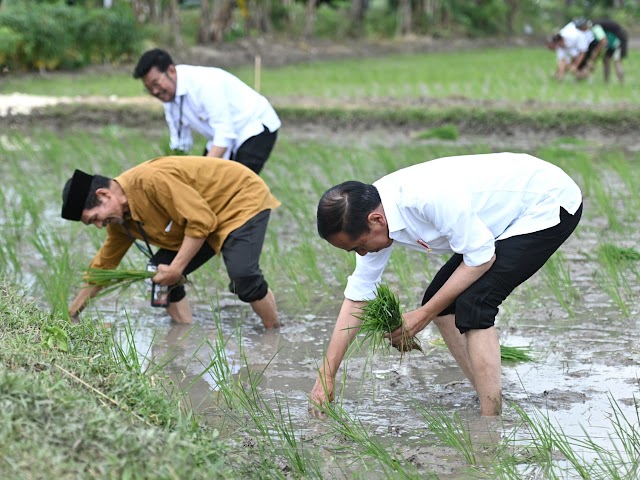Presiden Jokowi Apresiasi Petani Tuban Gunakan Pupuk Organik