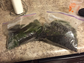 two freezer bags of moss