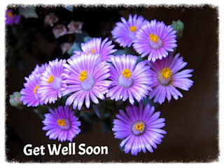 Get well soon- Oscularia