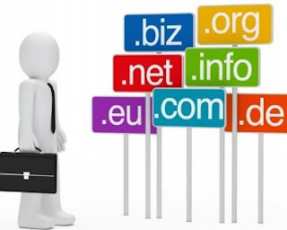 cara menjadi blogger sukses - domain tld