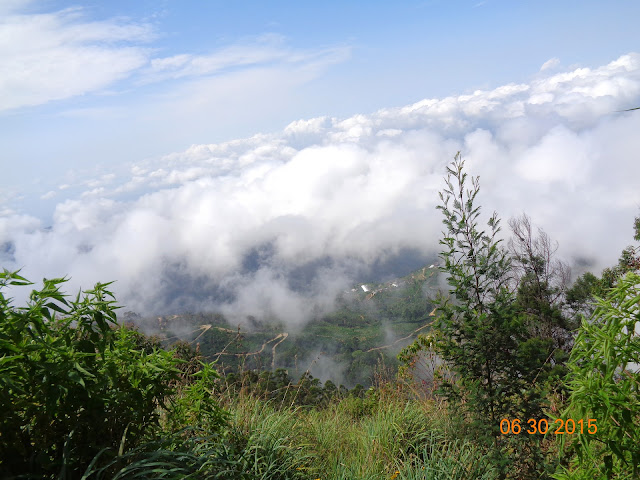 Lipton's Seat - Haputhale - bandarawela - sri lanka- tarvel - homestay