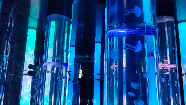 DMMかりゆし水族館に楽しんで来ました！沖縄家族旅行