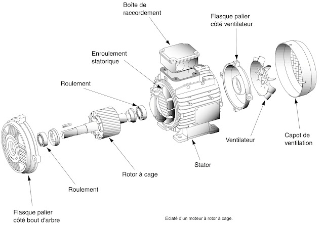 Rotor à cage