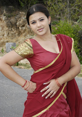 Swetha Tamil Actress Hot Images in Saree