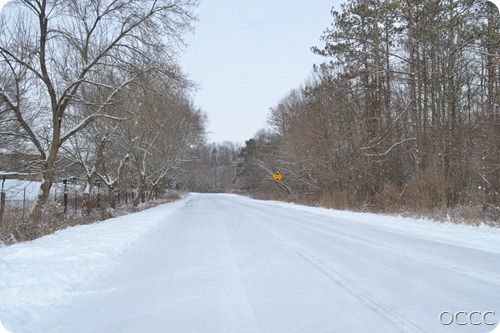 winter scenery (1 of 1)-12