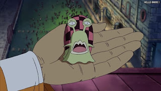 ワンピースアニメ ウォーターセブン編 242話 電伝虫 | ONE PIECE Episode 242 Water 7