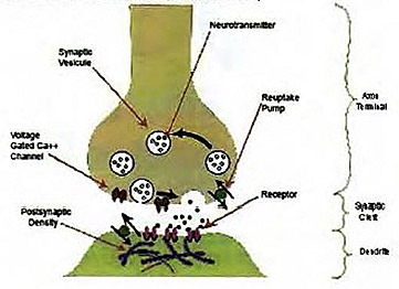 PEMF 8000 Pulsed Field