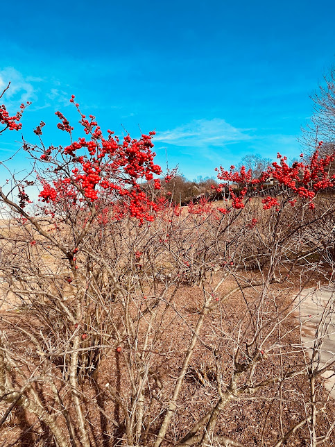 Walking Trail Along Hershey West End