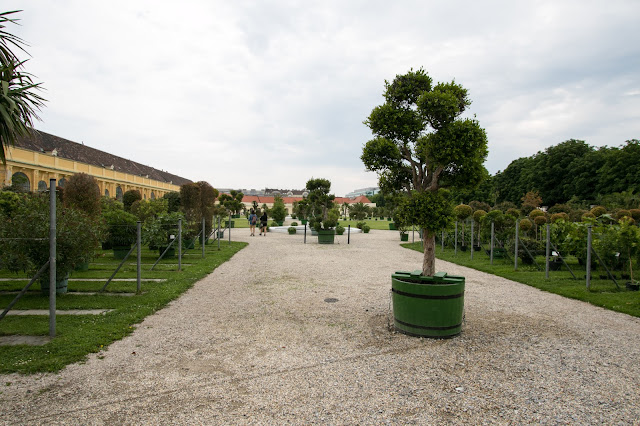 Irrgarten e Orangerie-Castello di Schönbrunn-Vienna