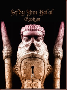 Fefdy ynn Yolal - Sgohyn Cover