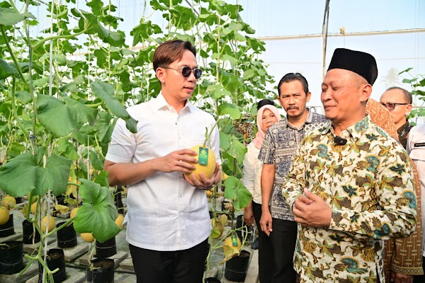 Panen Melon Sultan di Ponpes Istiqomah Al-Amin, Bupati Lamsel Beri Apresiasi